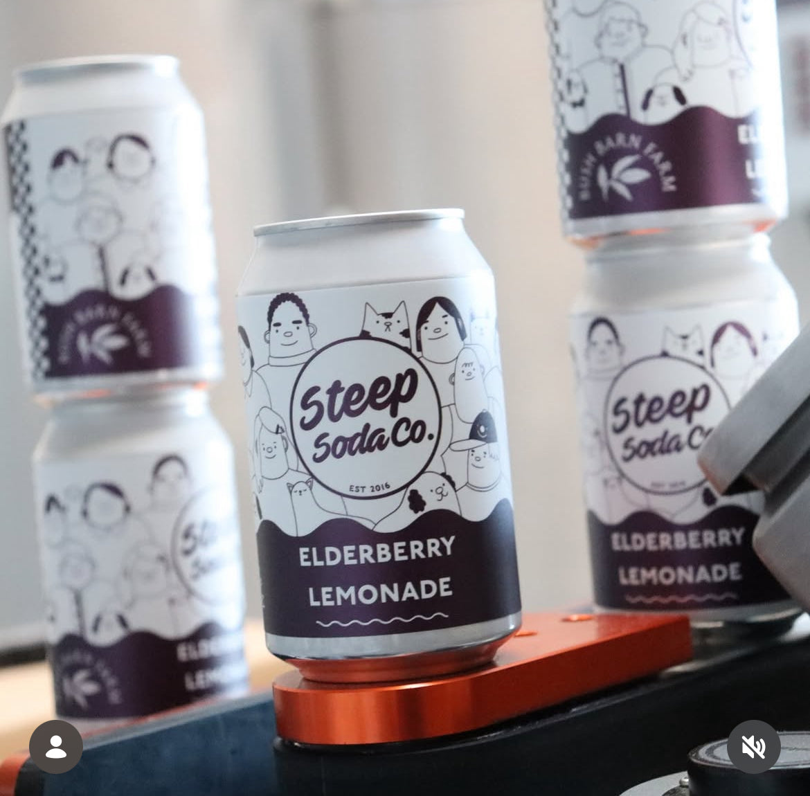 Elderberry Lemonade