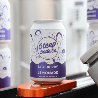 Blueberry Lemonade