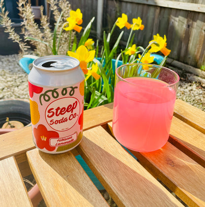 Hibiscus Lemonade