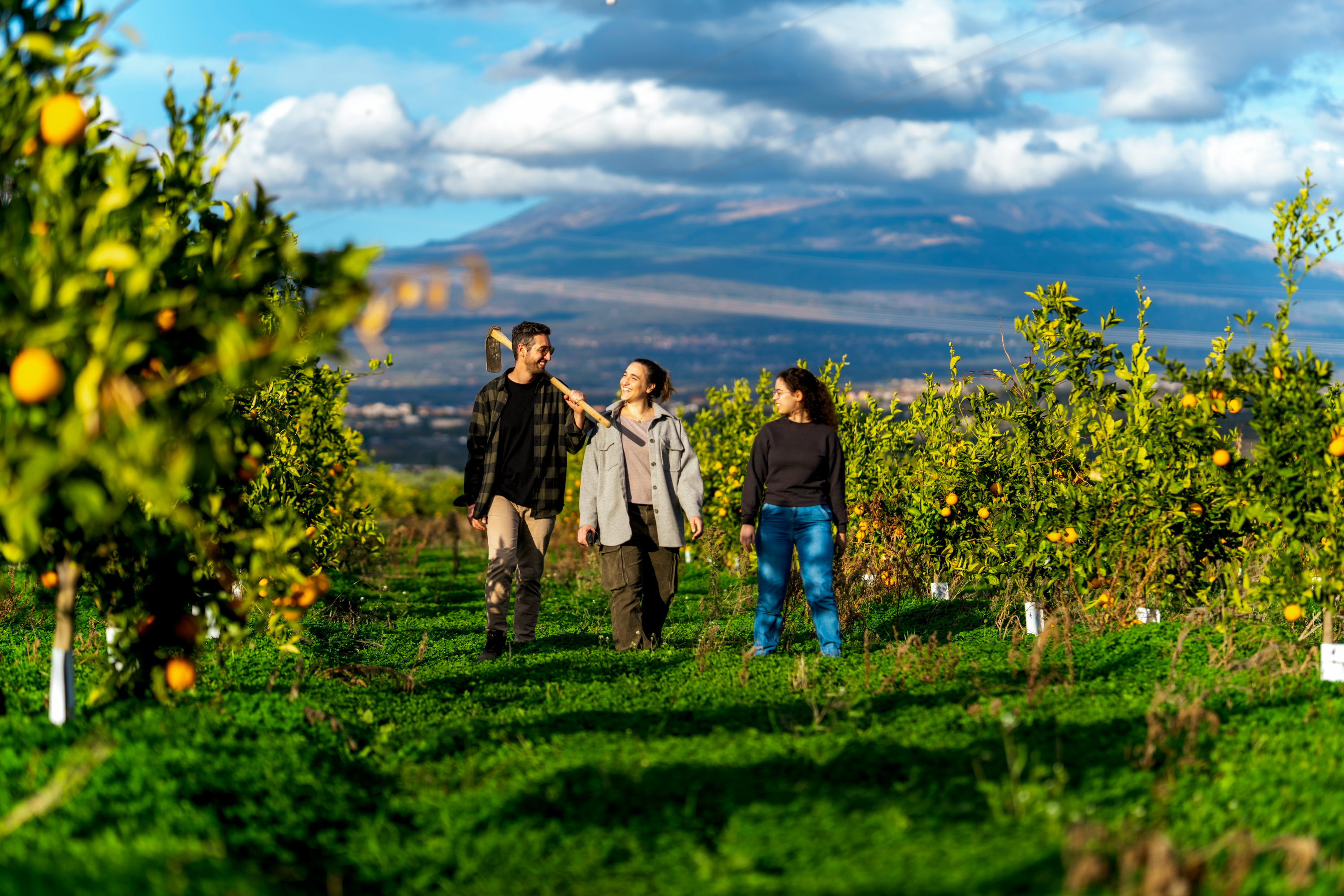 Three people walking through an orchard in Sicily with mountains in the background
